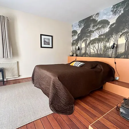 Grande Pour 10 Personnes Avec Jardin, Proche Plage, Wifi, Club House, Tennis, Golf, A La Palmyre - Fr-1-705-81 Villa